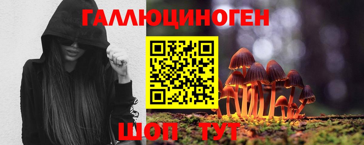 Галлюциногенные грибы Psilocybine cubensis  Вход с VPN  Кондопога  Псилоцибиновые грибы Magic Shrooms 